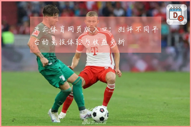 开云体育网页版入口：测评不同平台的竞技体验与收益分析
